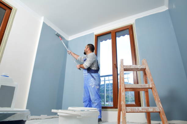 Trusted Carroll, IA Drywall & Painting Services Experts